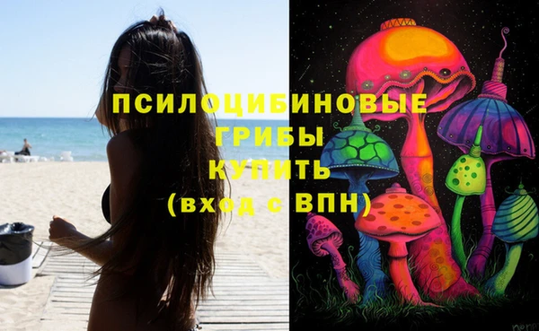 мдпв Богородицк