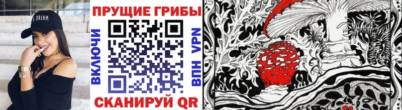 цены   Кириллов  Галлюциногенные грибы ЛСД 